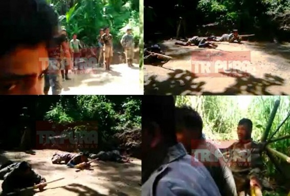 TIWN Exclusive: NE Bru terrorist training institutions exposed ! TIWN Exclusive: NE Bru terrorist training institutions exposed !